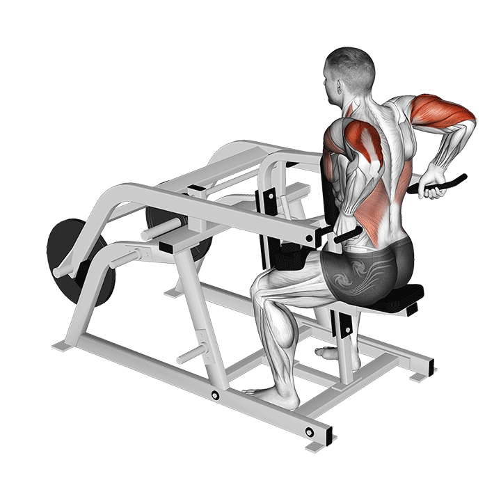 Seated Dip Machine animation