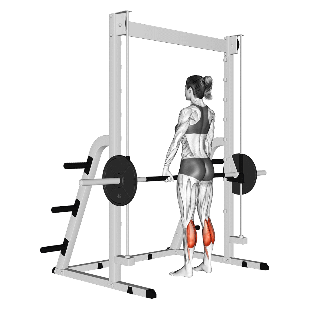 Smith Machine Calf Raise animation