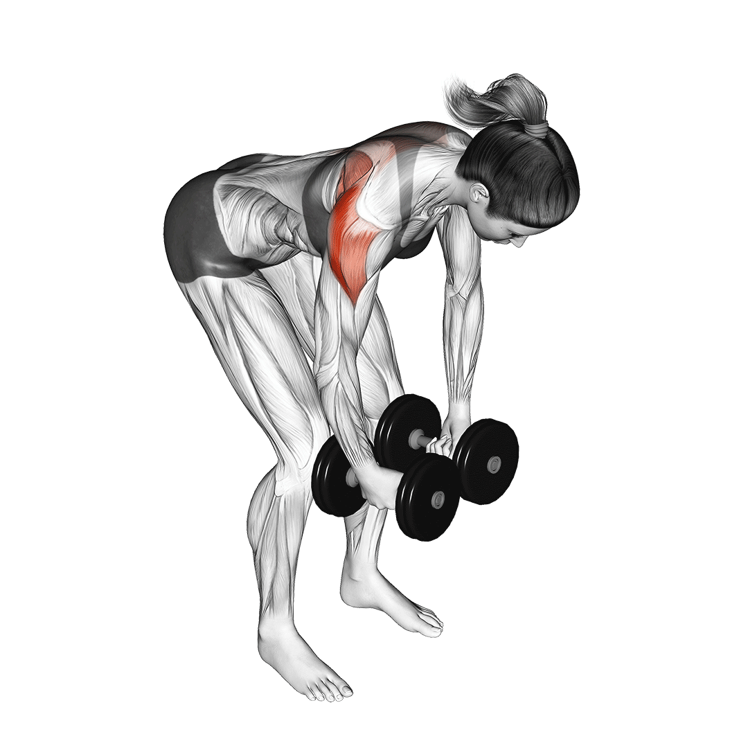 Dumbbell Rear Delt Fly animation