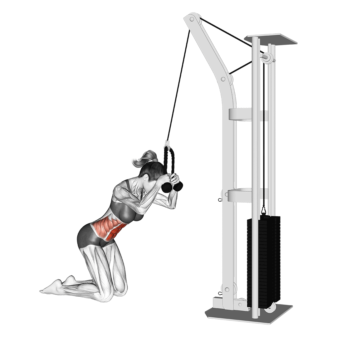 Cable Crunch animation