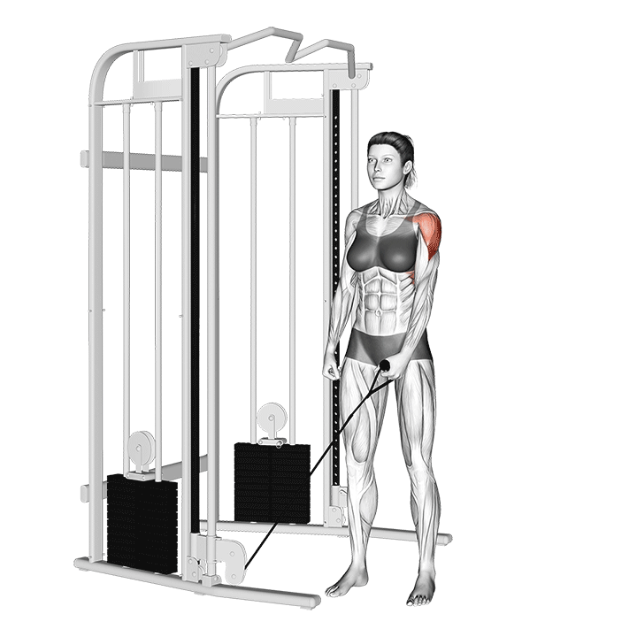 Single-arm Cable Lateral Raise animation