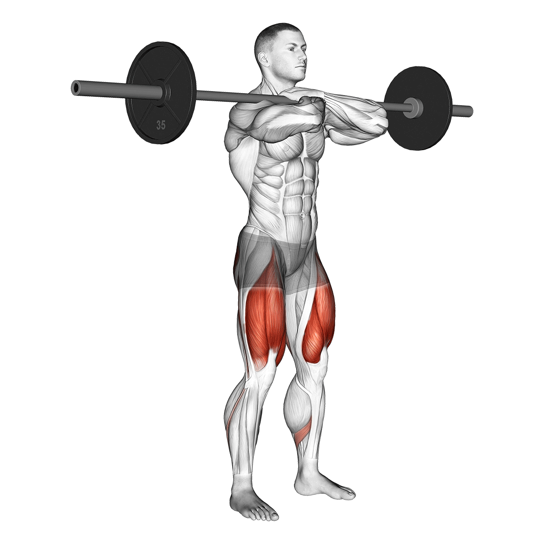 Front Squat animation
