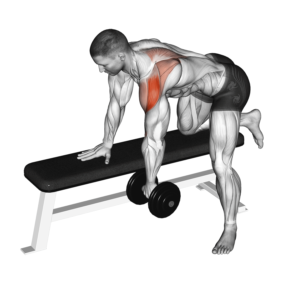 Dumbbell Rear Delt Row animation