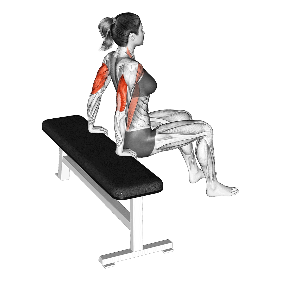Bench Dip Knee Bent animation