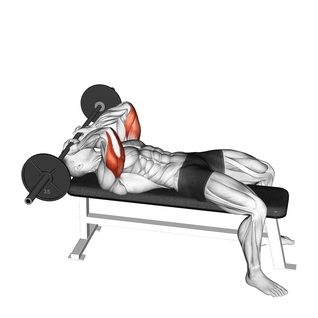 Barbell Skull Crusher animation