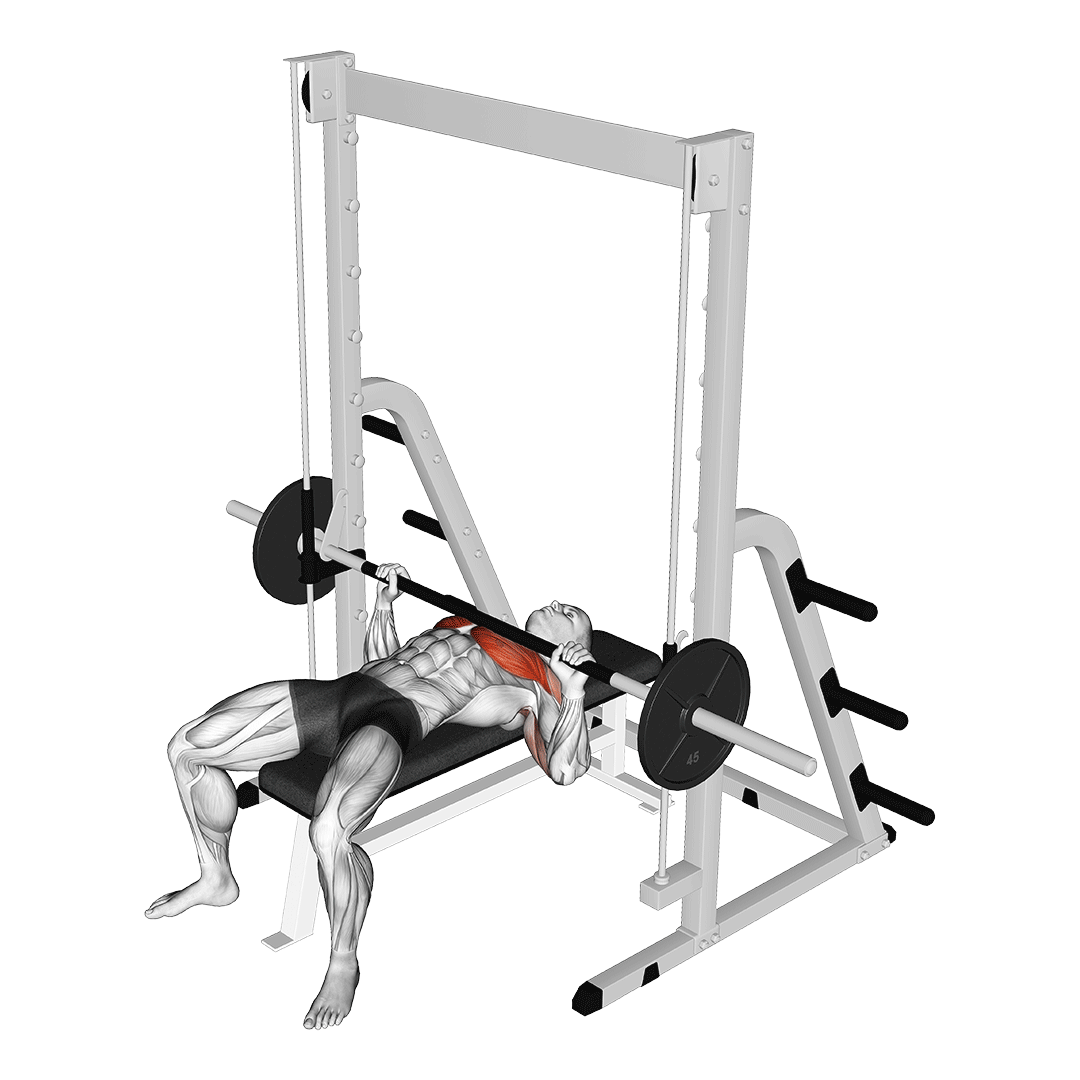 Smith Machine Bench Press animation
