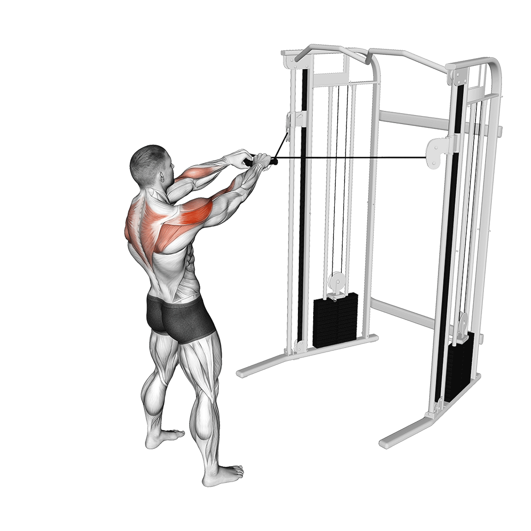 Cable Face Pull animation