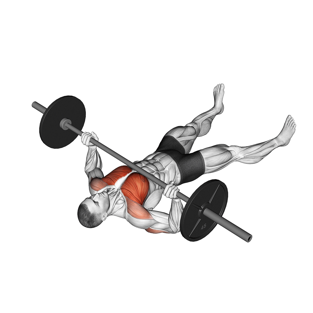 Barbell Floor Press animation