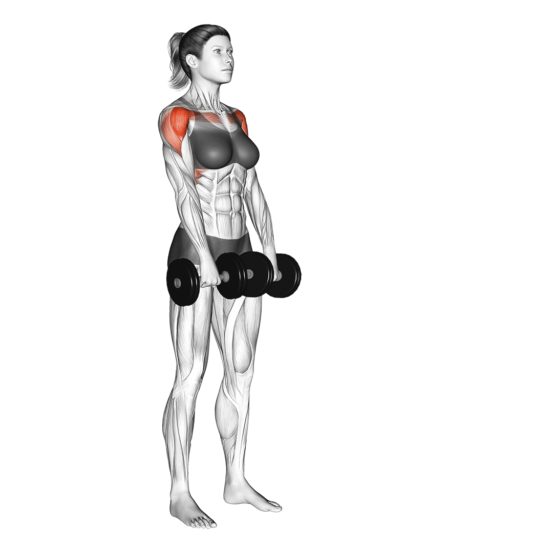 Dumbbell Front Raise animation