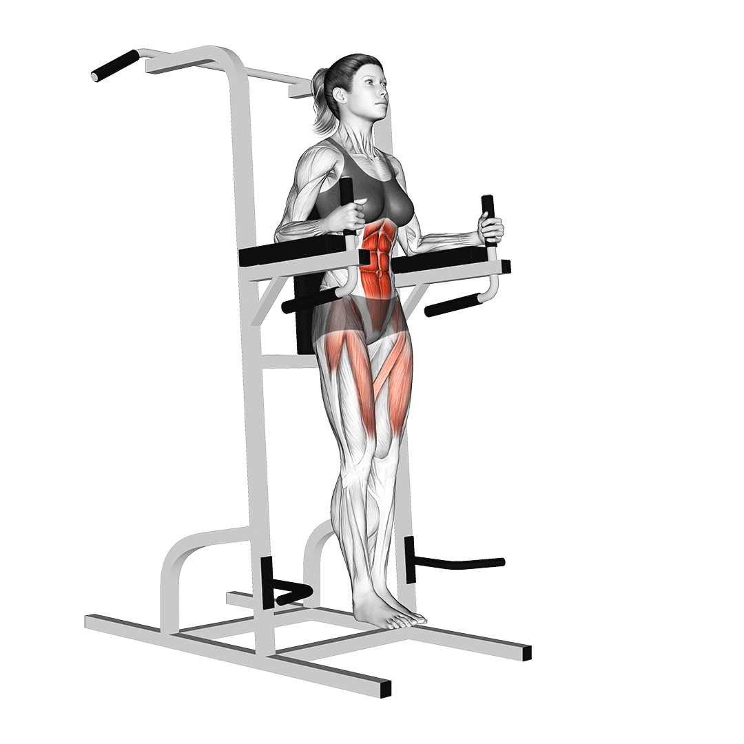 Captain’s Chair Leg Raises animation