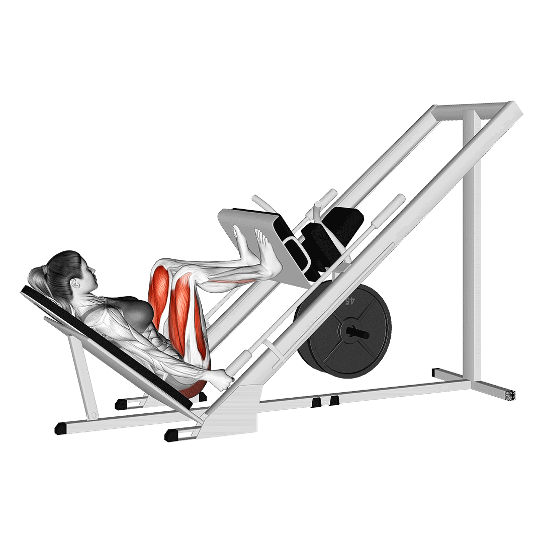Leg Press animation