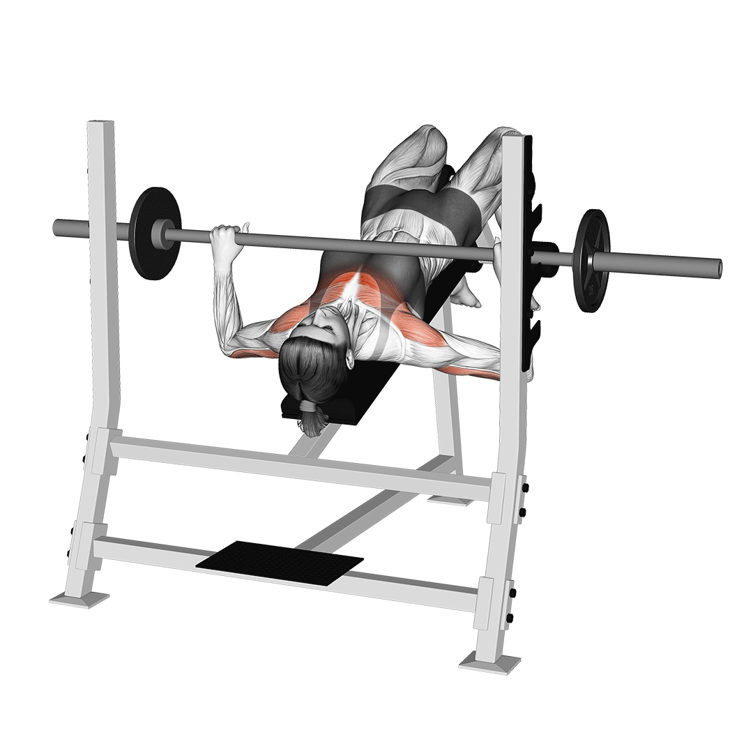 Barbell Decline Bench Press animation