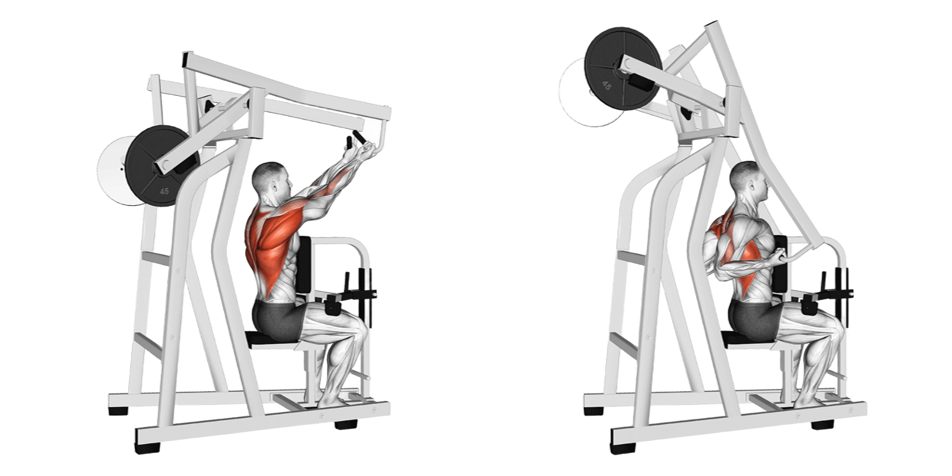 Hammer Strength High Row