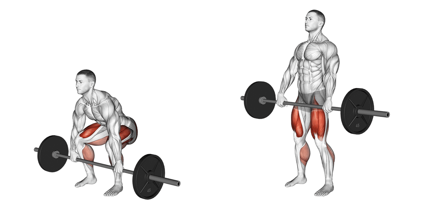 Barbell Deadlift