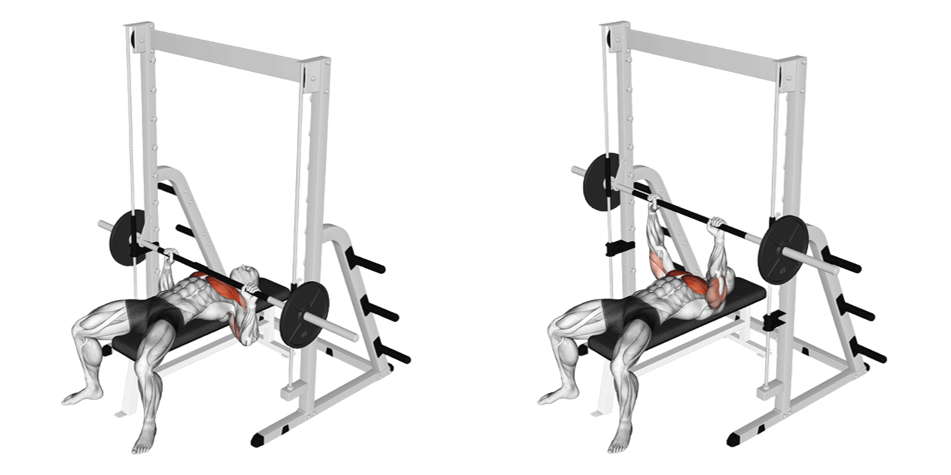 Smith Machine Bench Press