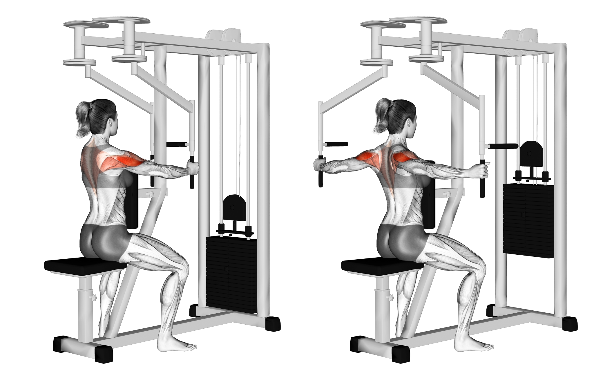 Reverse Pec Deck Fly