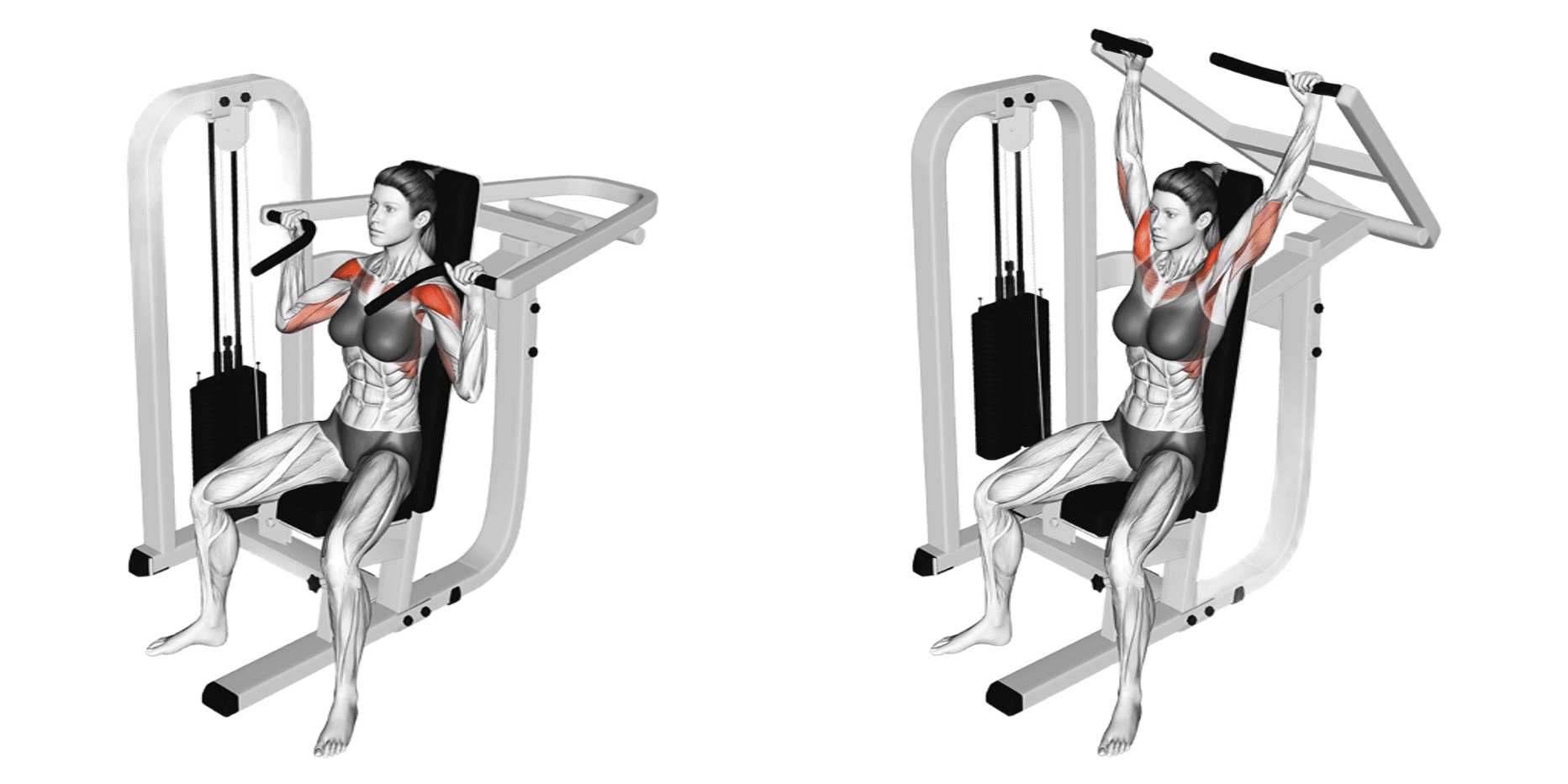 Shoulder Press Machine