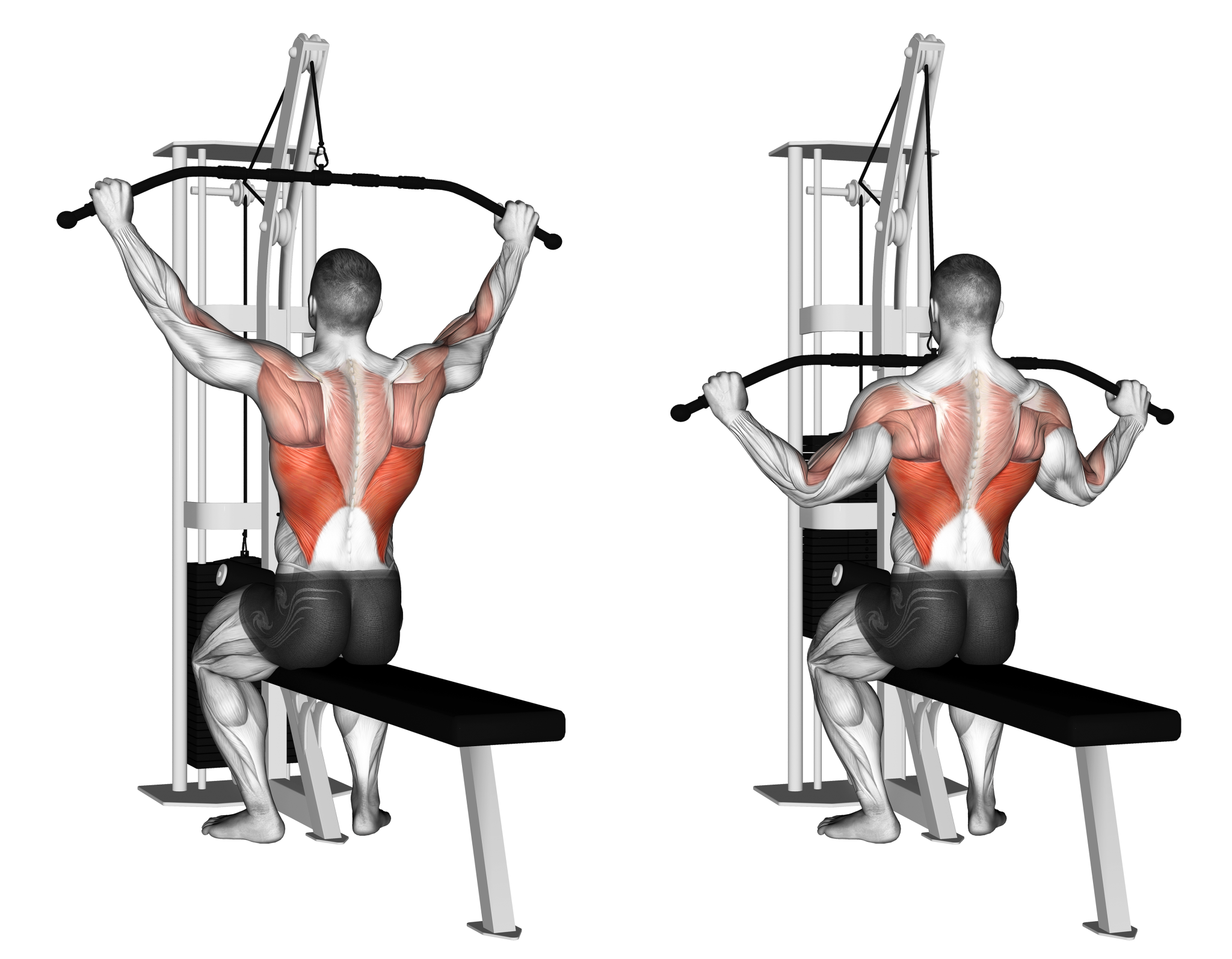 Wide Grip Lat Pulldown