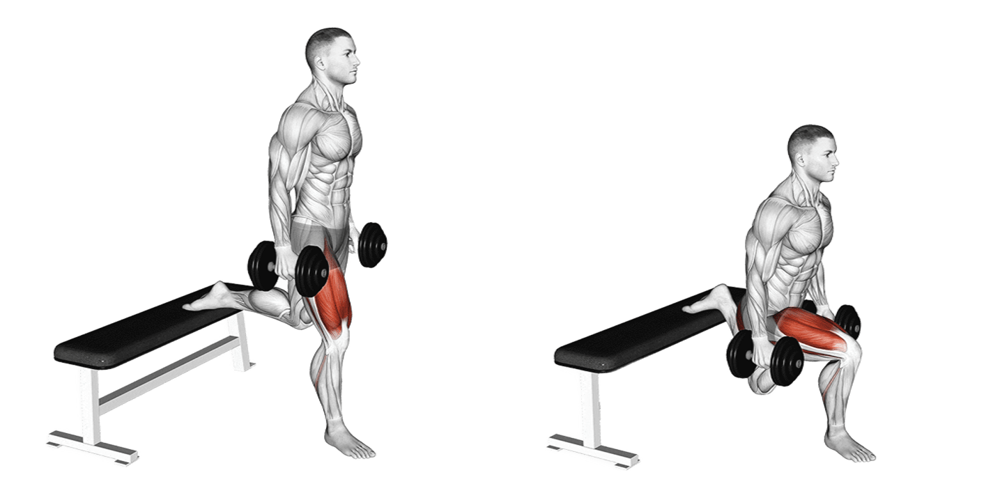 Dumbbell Bulgarian Split Squat