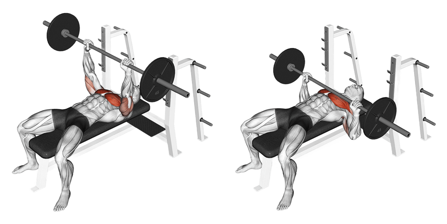 Barbell Bench Press