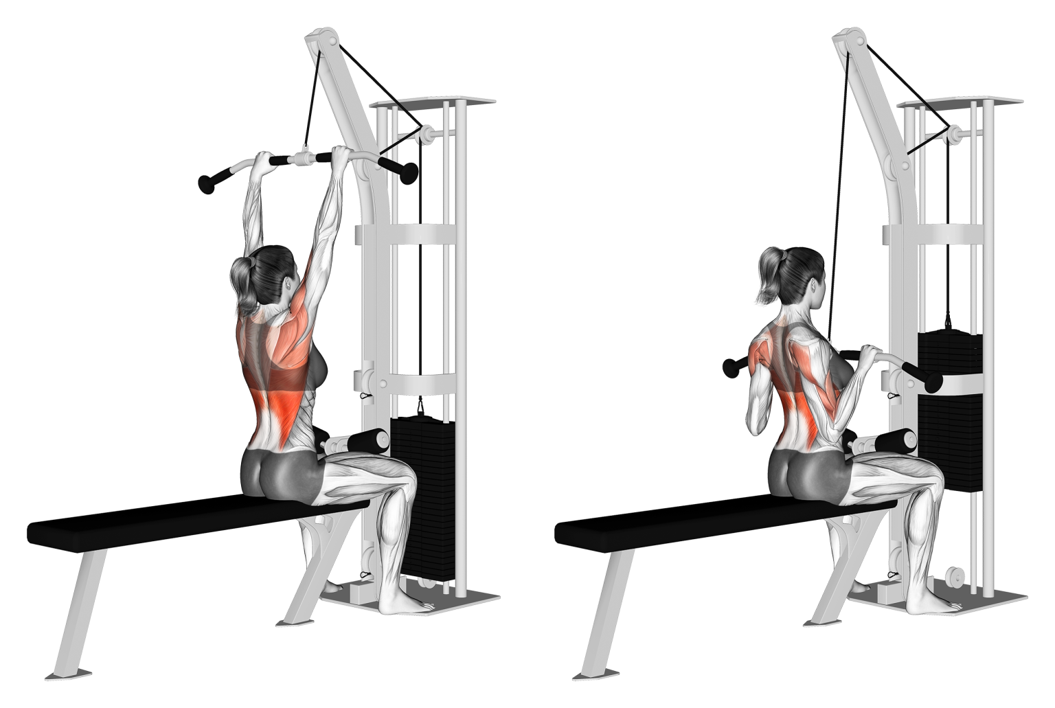 Lat Pulldown