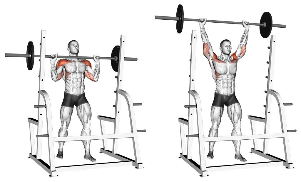 Barbell Shoulder Press / Military Press