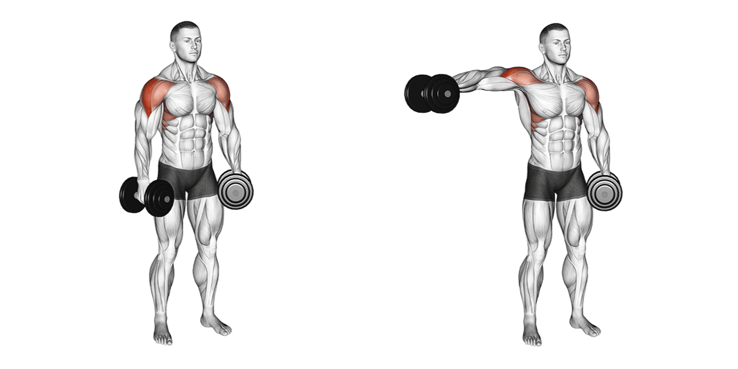 Dumbbell Lateral Raise