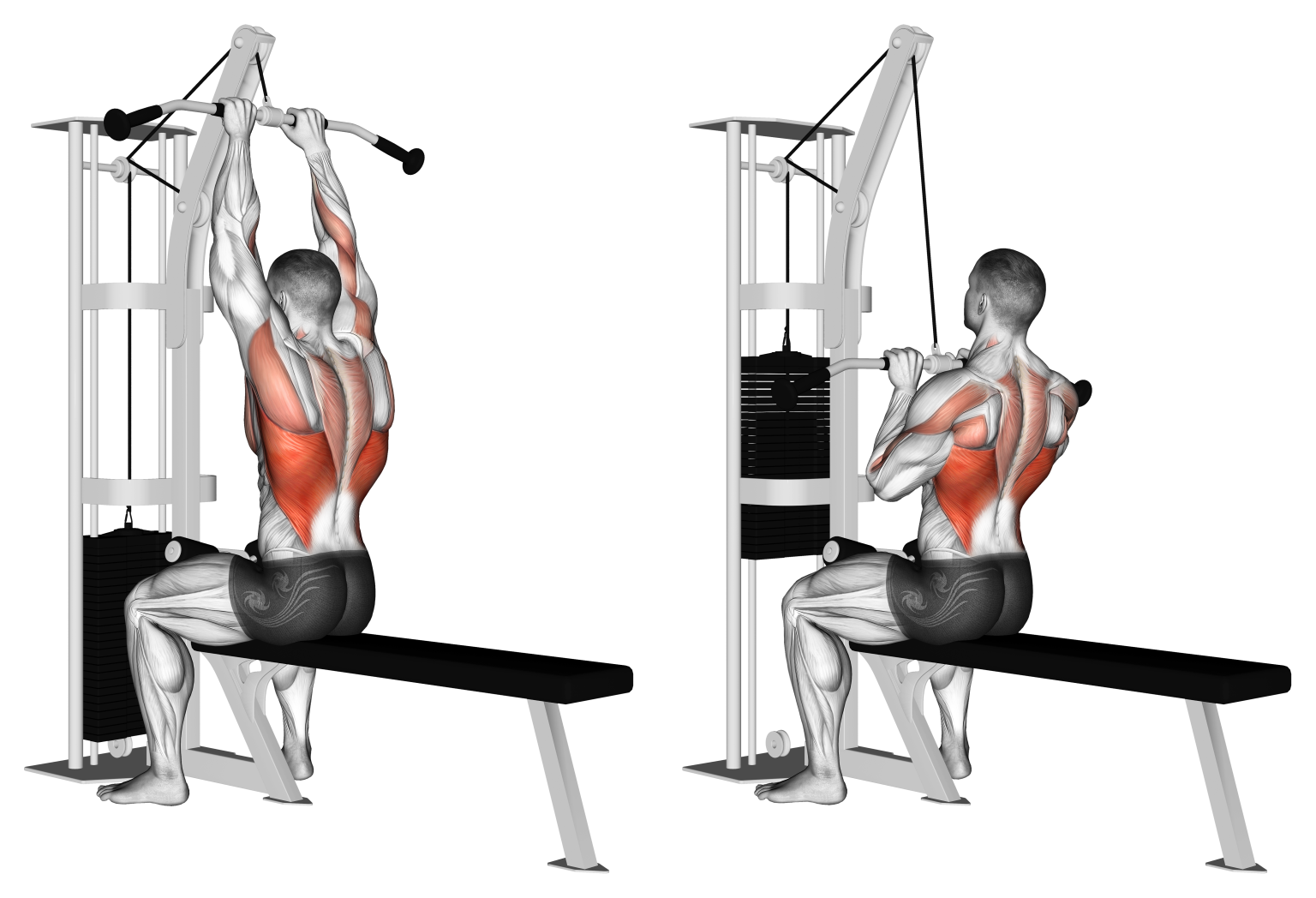 Close Grip Lat Pulldown
