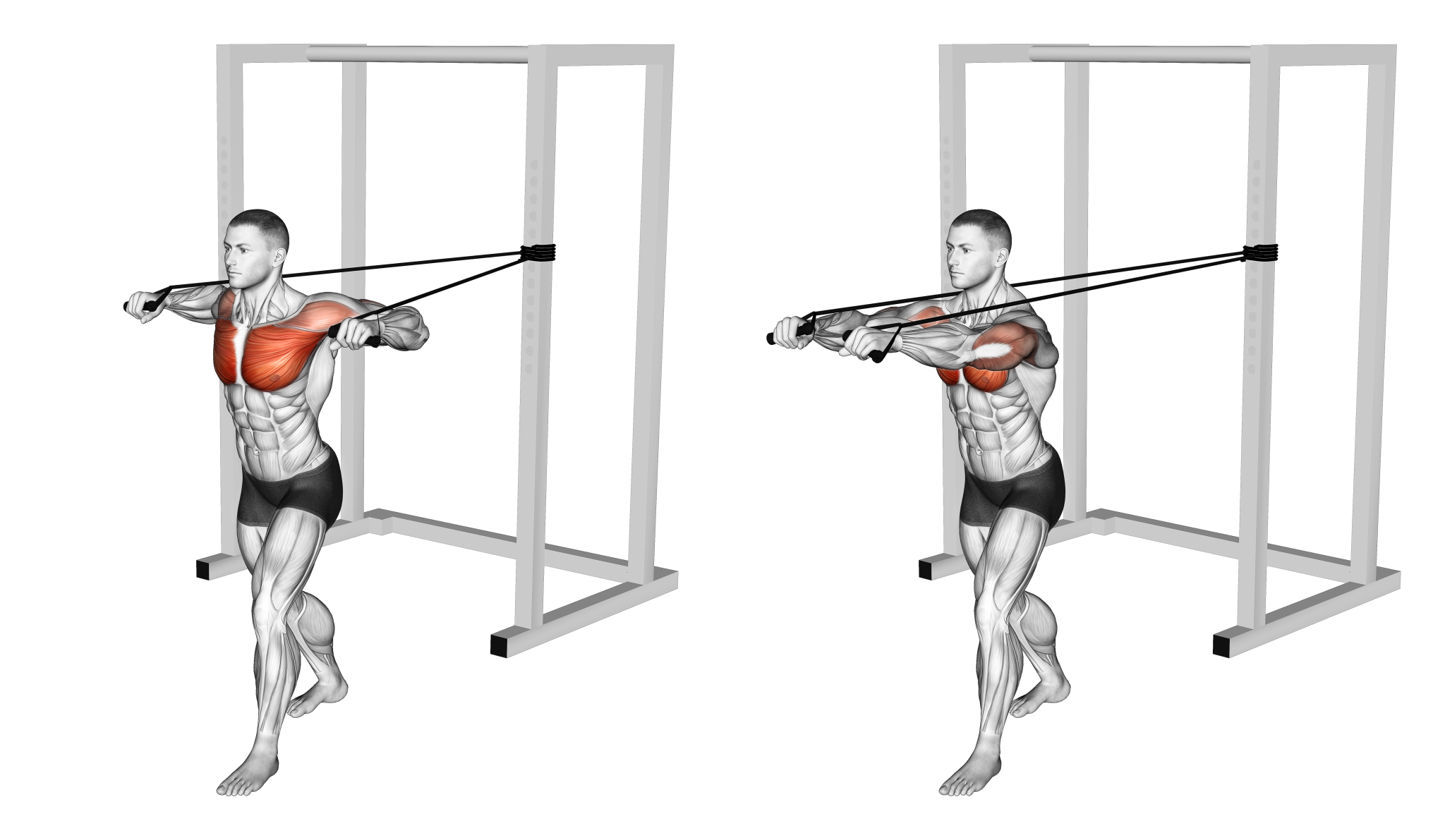 Band Chest Press