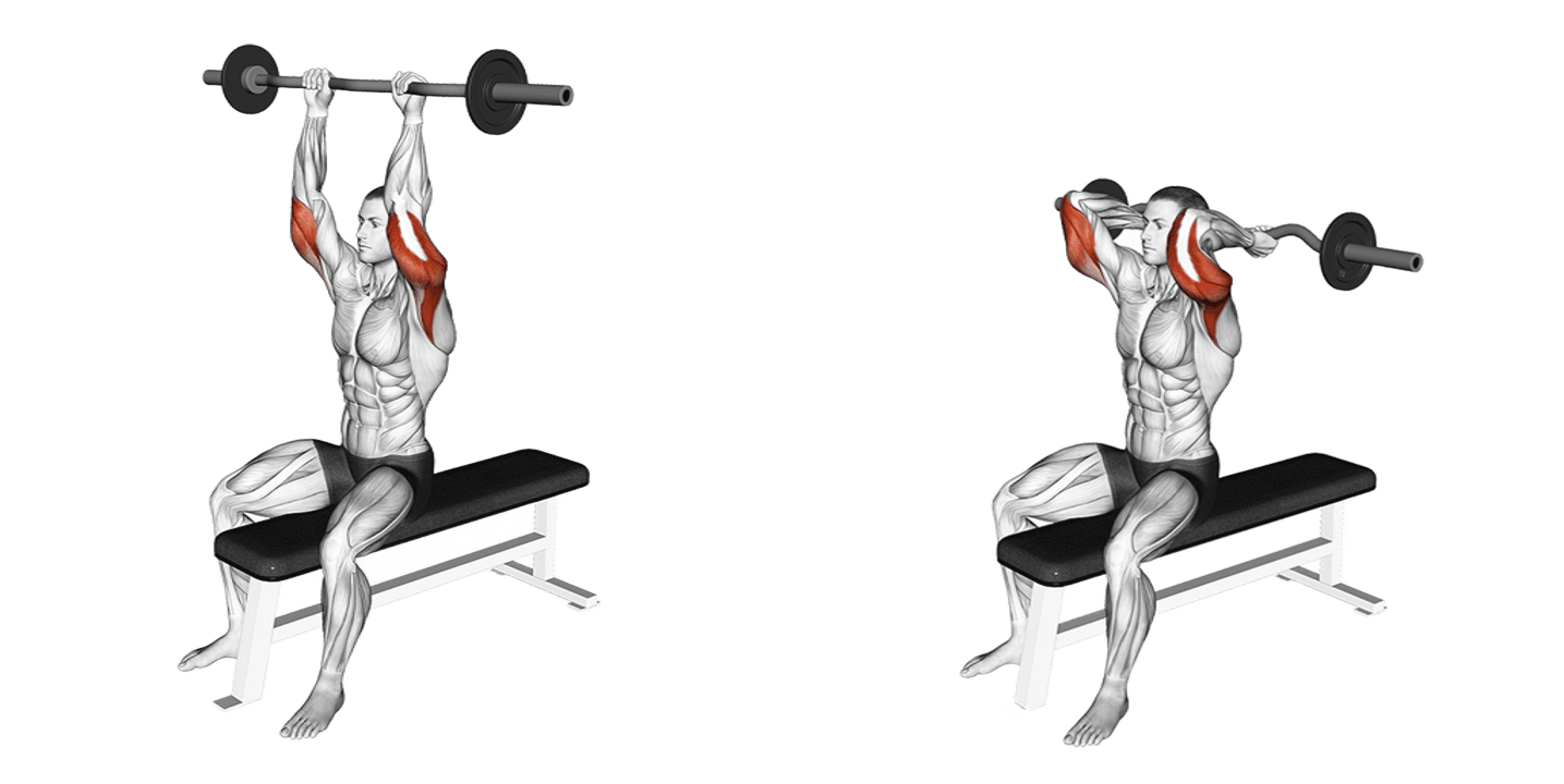 Ez-Bar Seated Triceps Extension