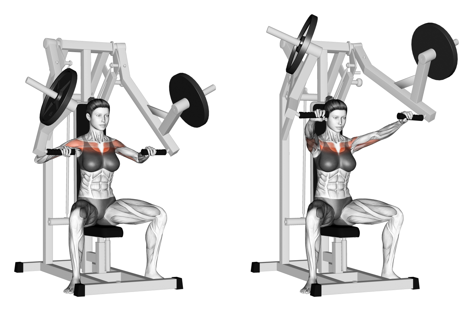 Hammer Strength Chest Press