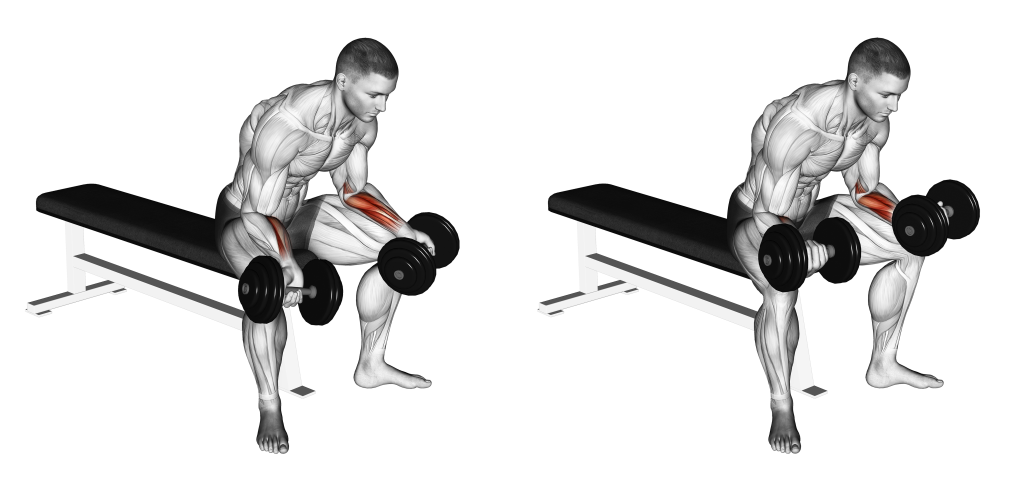 Dumbbell Wrist Curl