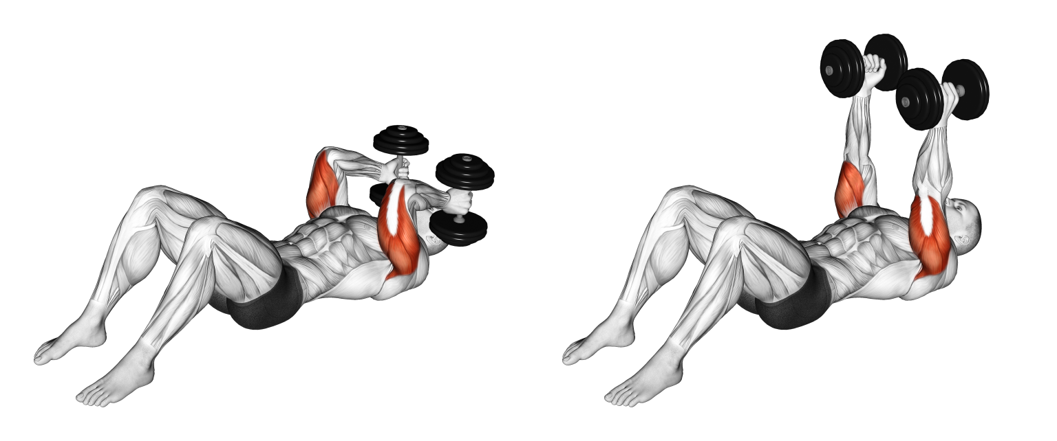 Dumbbell Skull Crusher