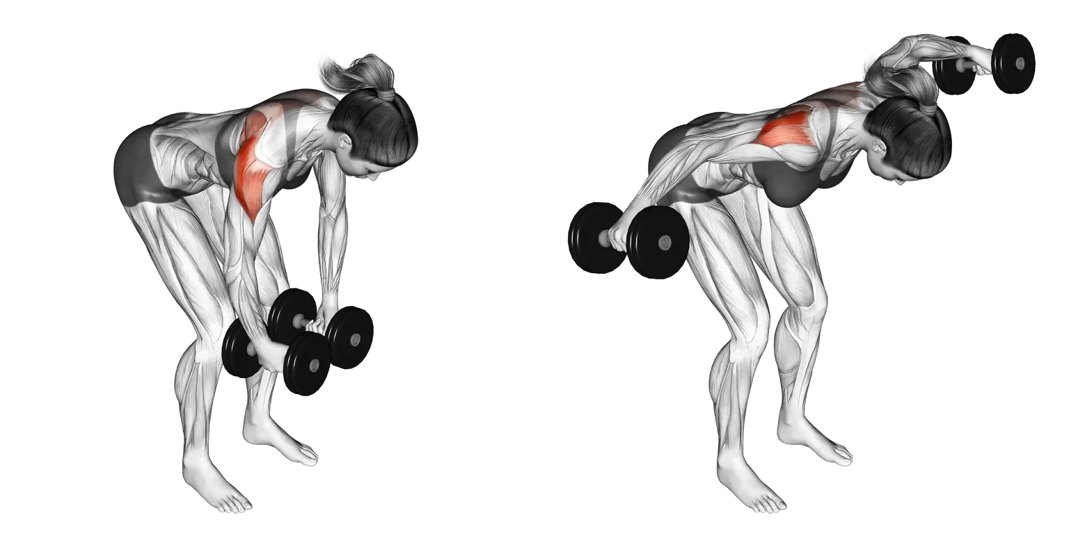 Dumbbell Rear Delt Fly