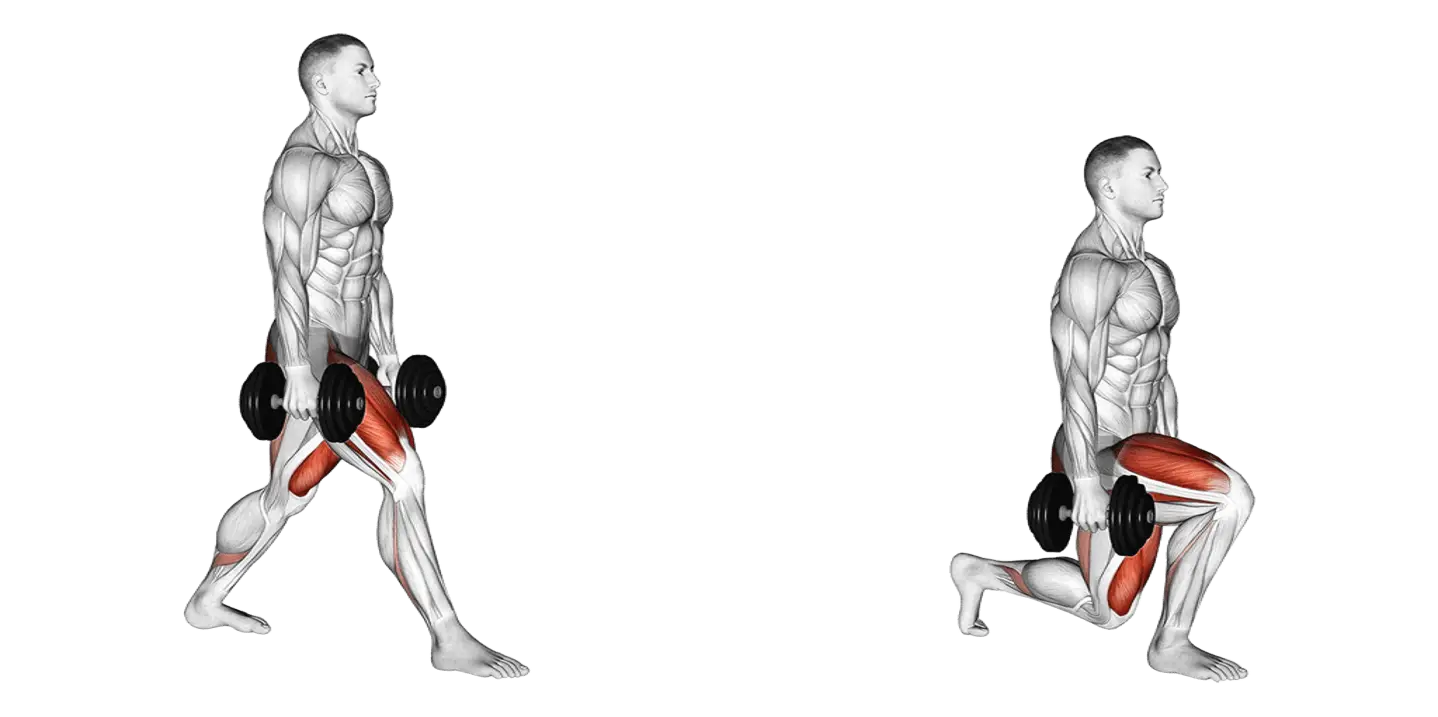 Dumbbell Lunge