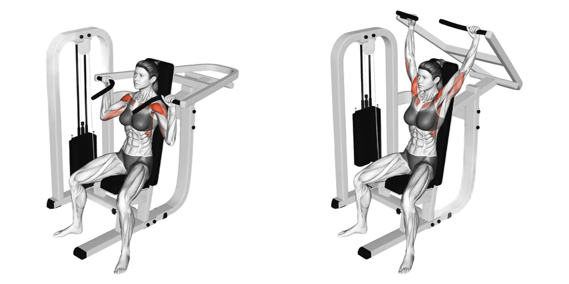 Shoulder Press Machine