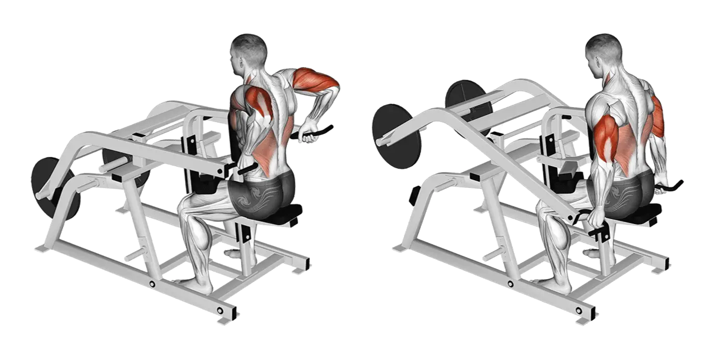 Seated Dip Machine