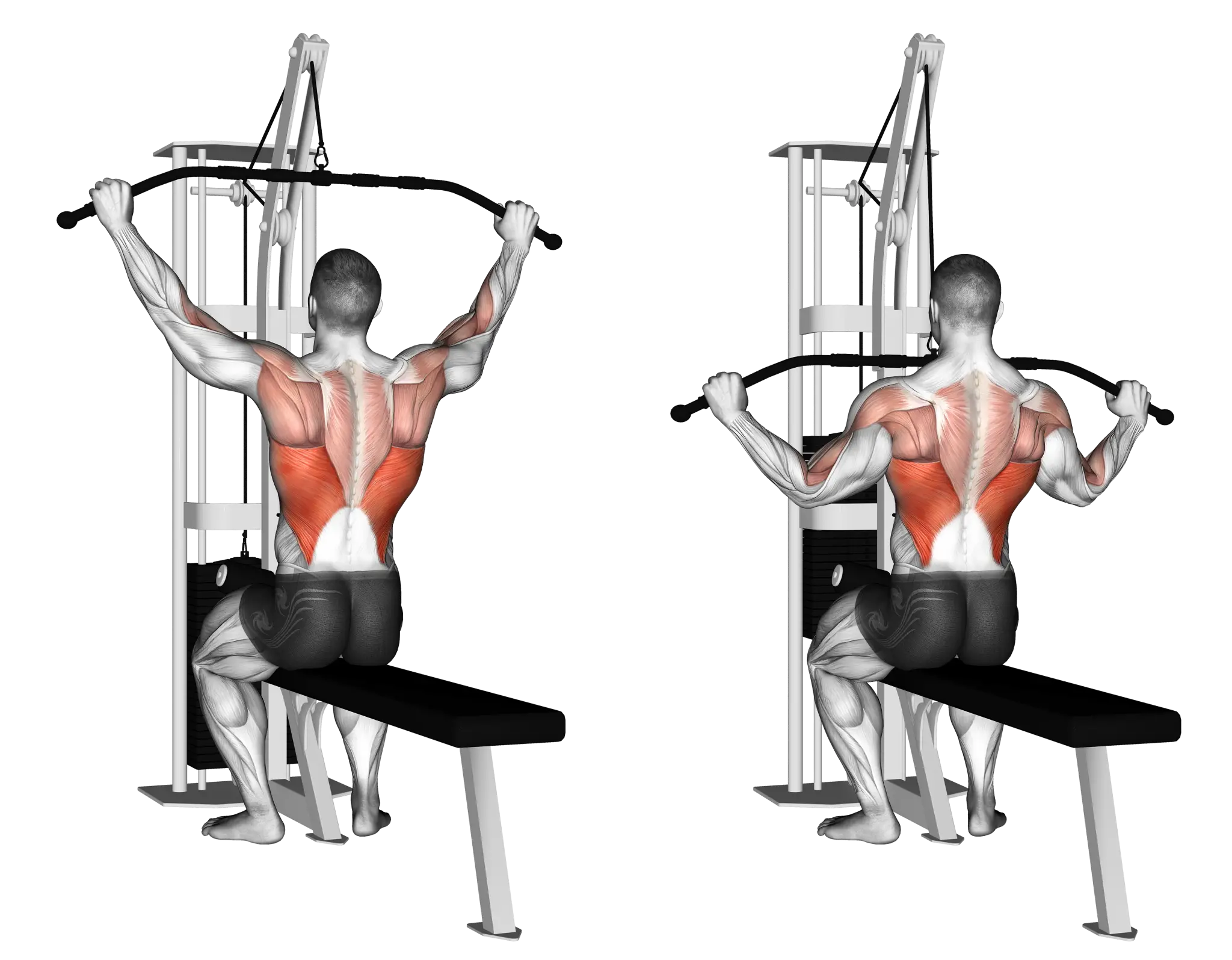 Wide Grip Lat Pulldown