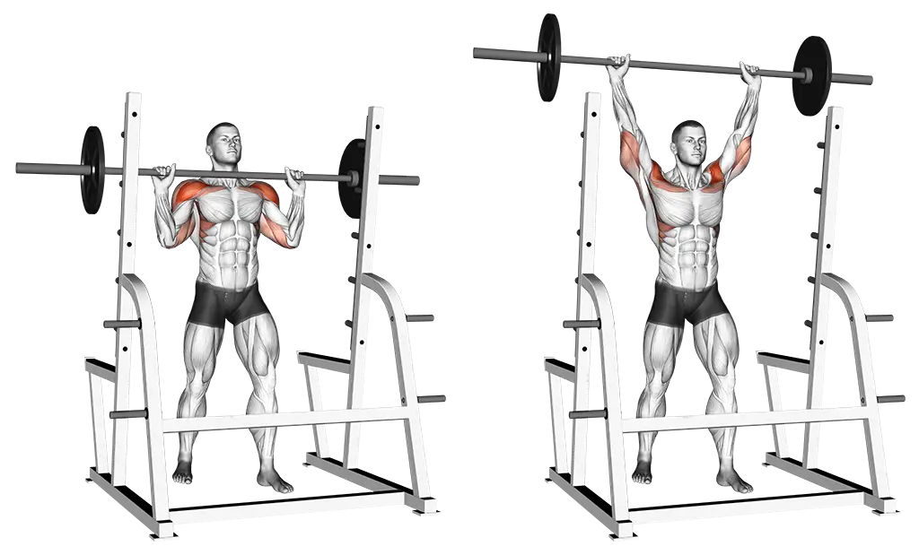 Barbell Shoulder Press / Military Press