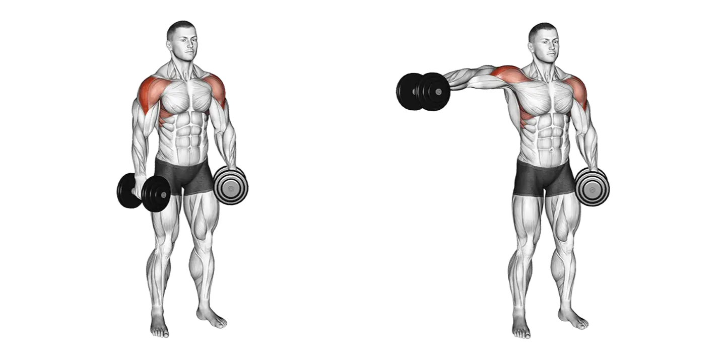 Dumbbell Lateral Raise