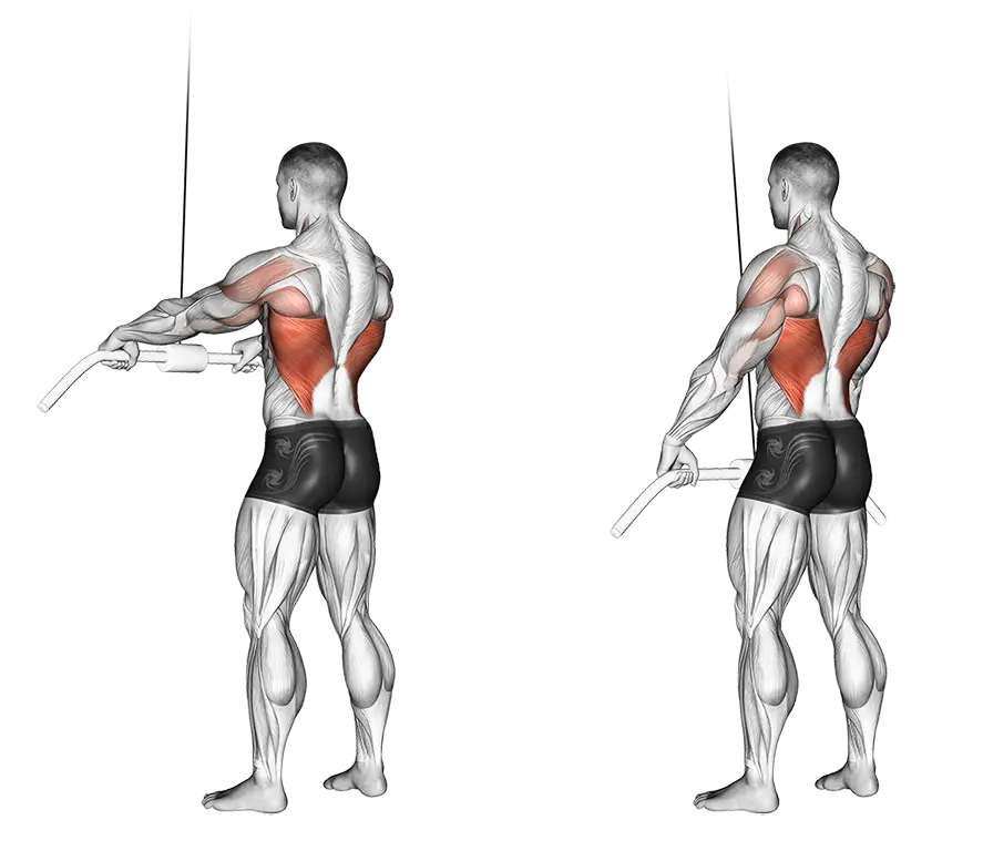Standing Straight-Arm Pulldown