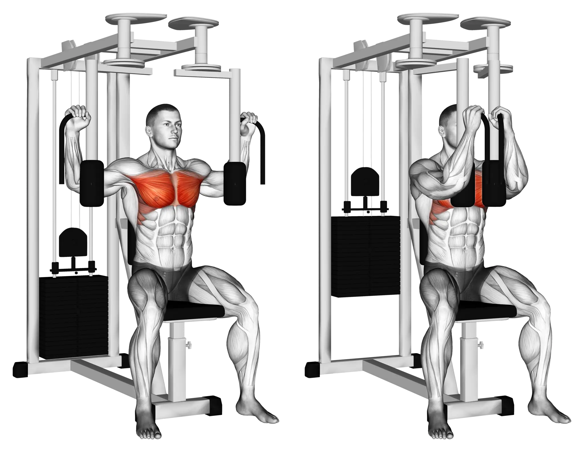Pec Deck Fly / Machine Chest Fly