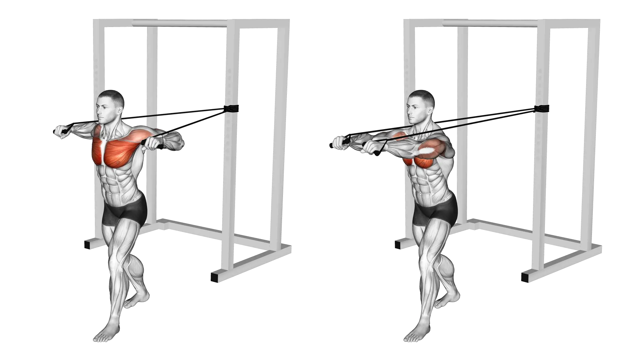 Band Chest Press