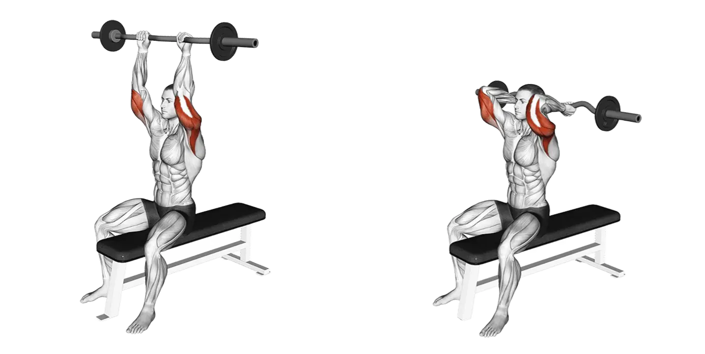 Ez-Bar Seated Triceps Extension