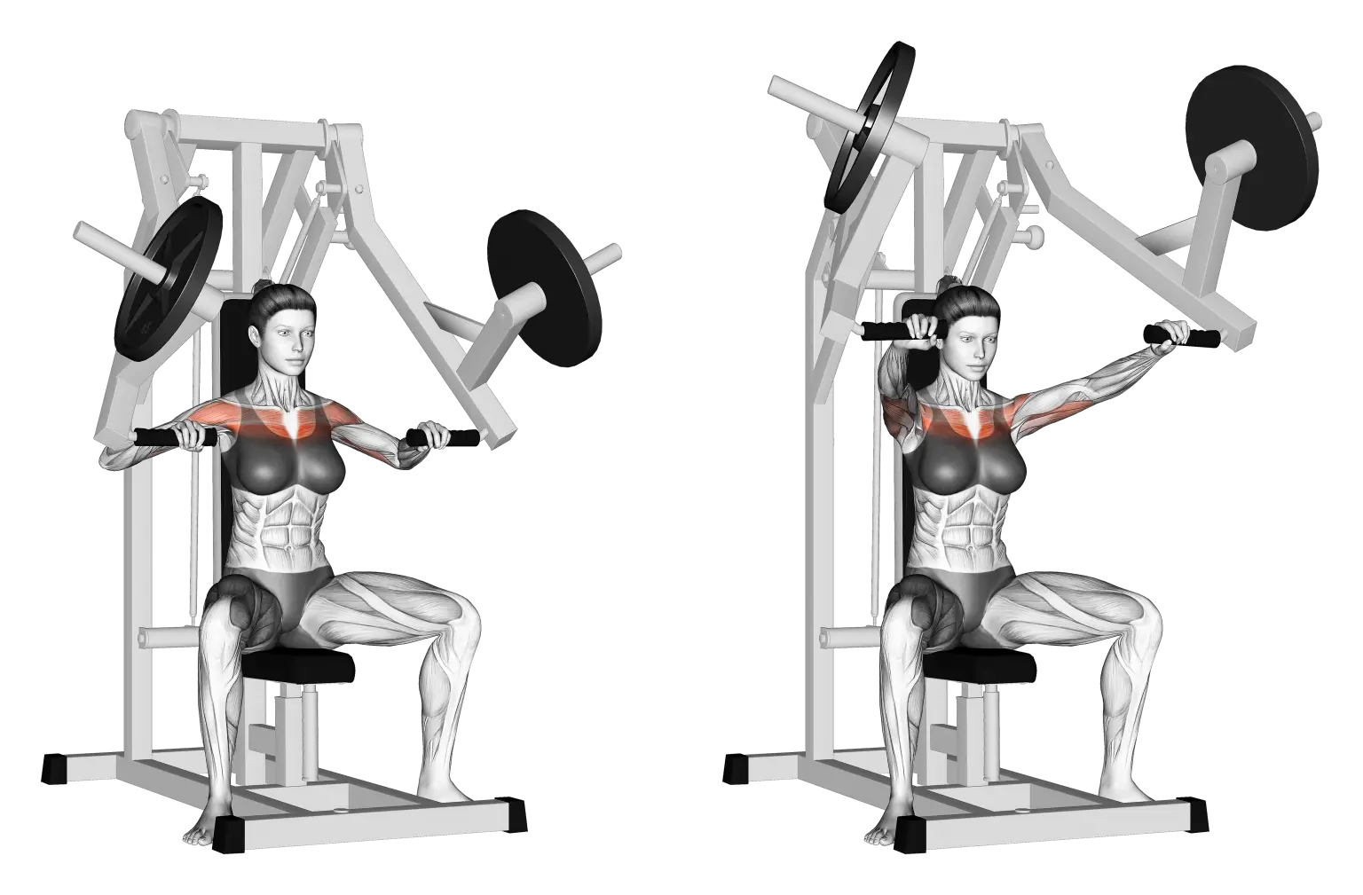 Hammer Strength Chest Press