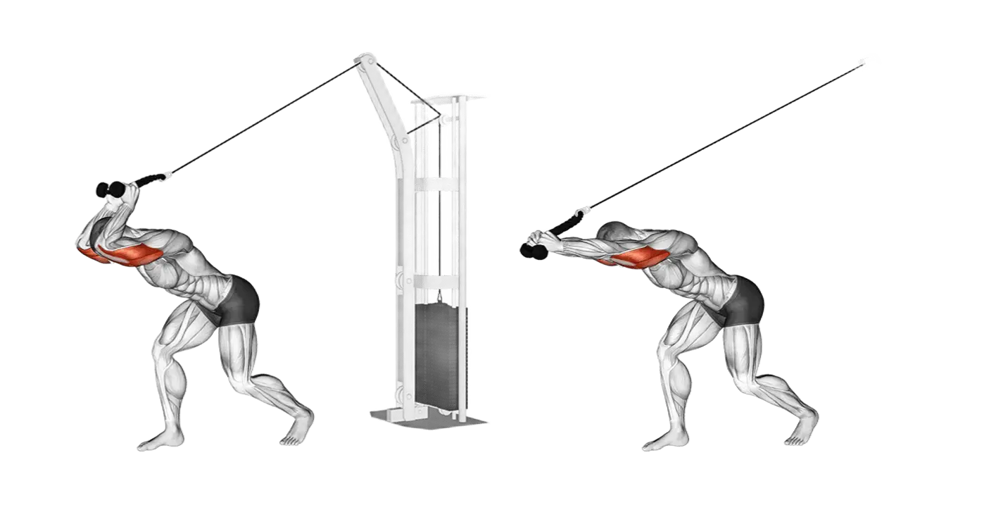 Cable Rope Overhead Triceps Extension