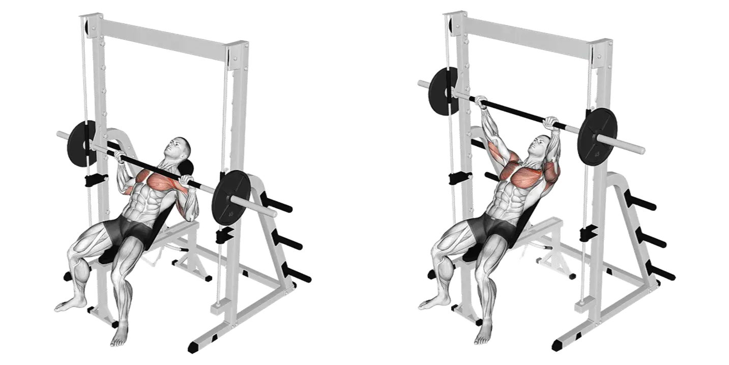 Smith Machine Incline Bench Press