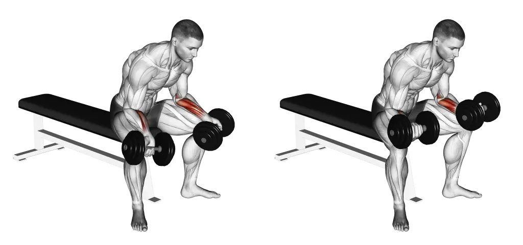 Dumbbell Wrist Curl