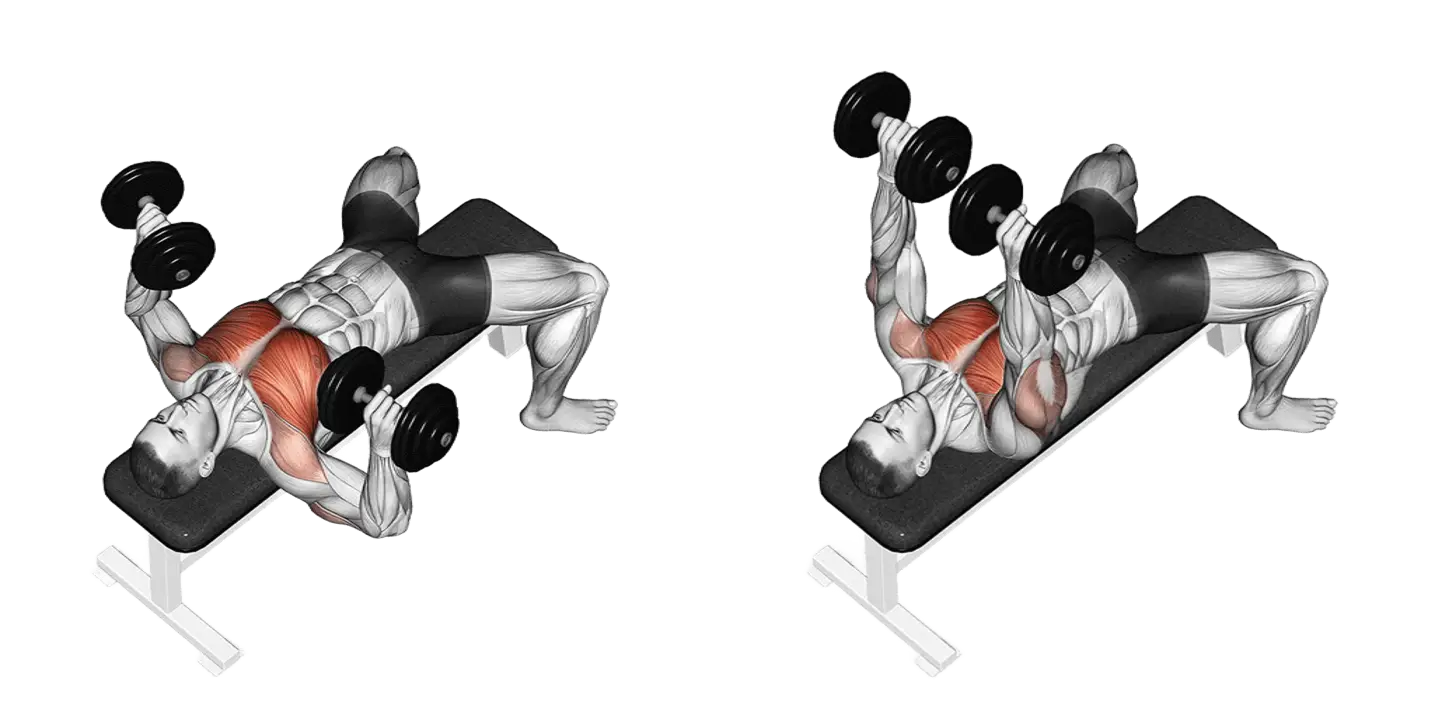 Dumbbell Bench Press