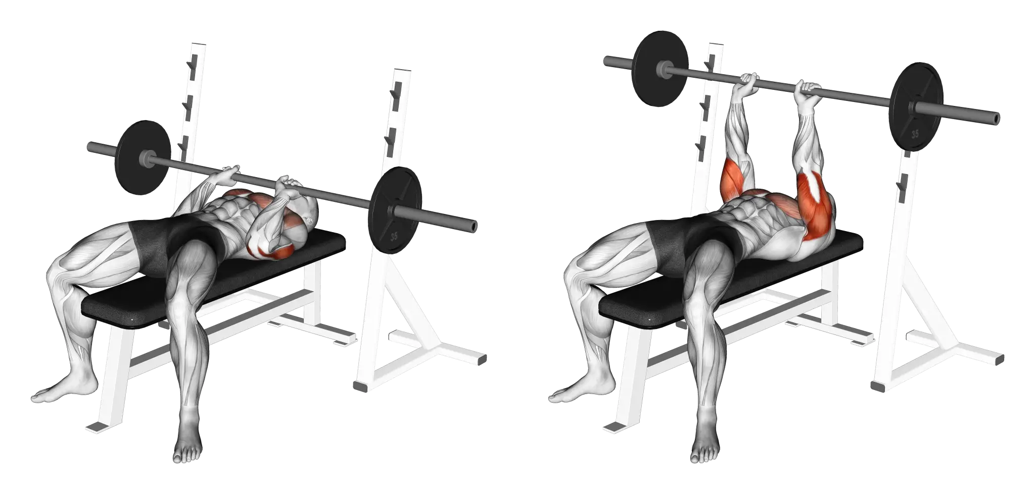 Close Grip Bench Press